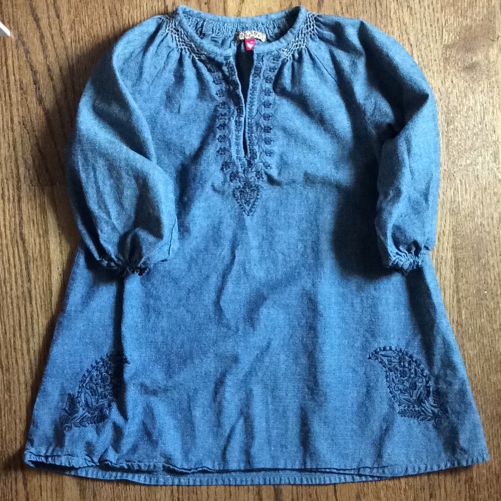 Pink Chicken denim chambray 3/4 sleeve dress